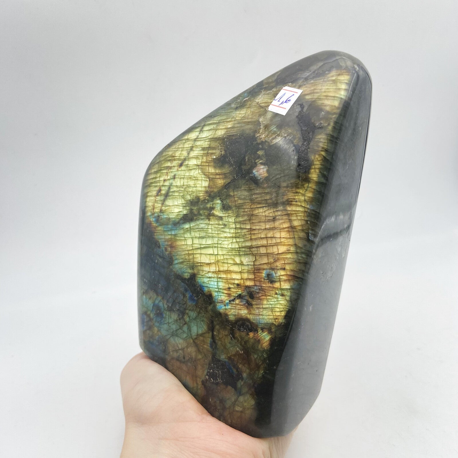 Lot de 3 Formes Libres - Labradorite n°9