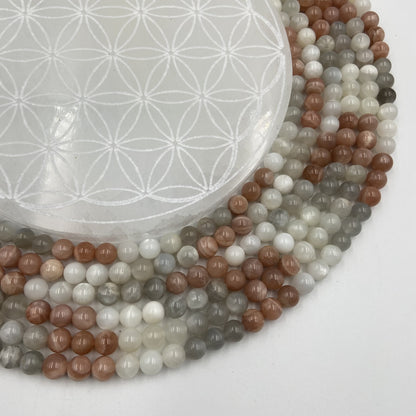 Rang - Pierre de Lune Multicolore Extra (8 mm)