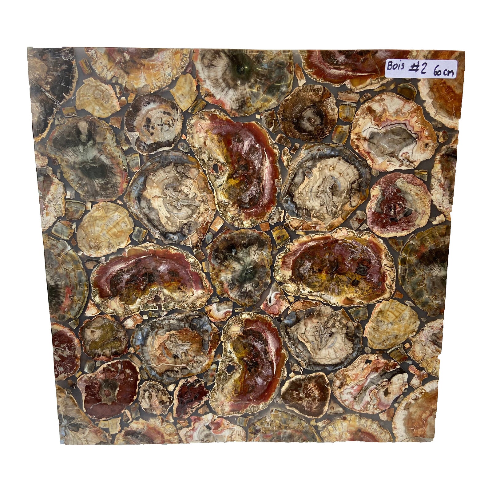 Table Carrée - Bois Fossile n°2