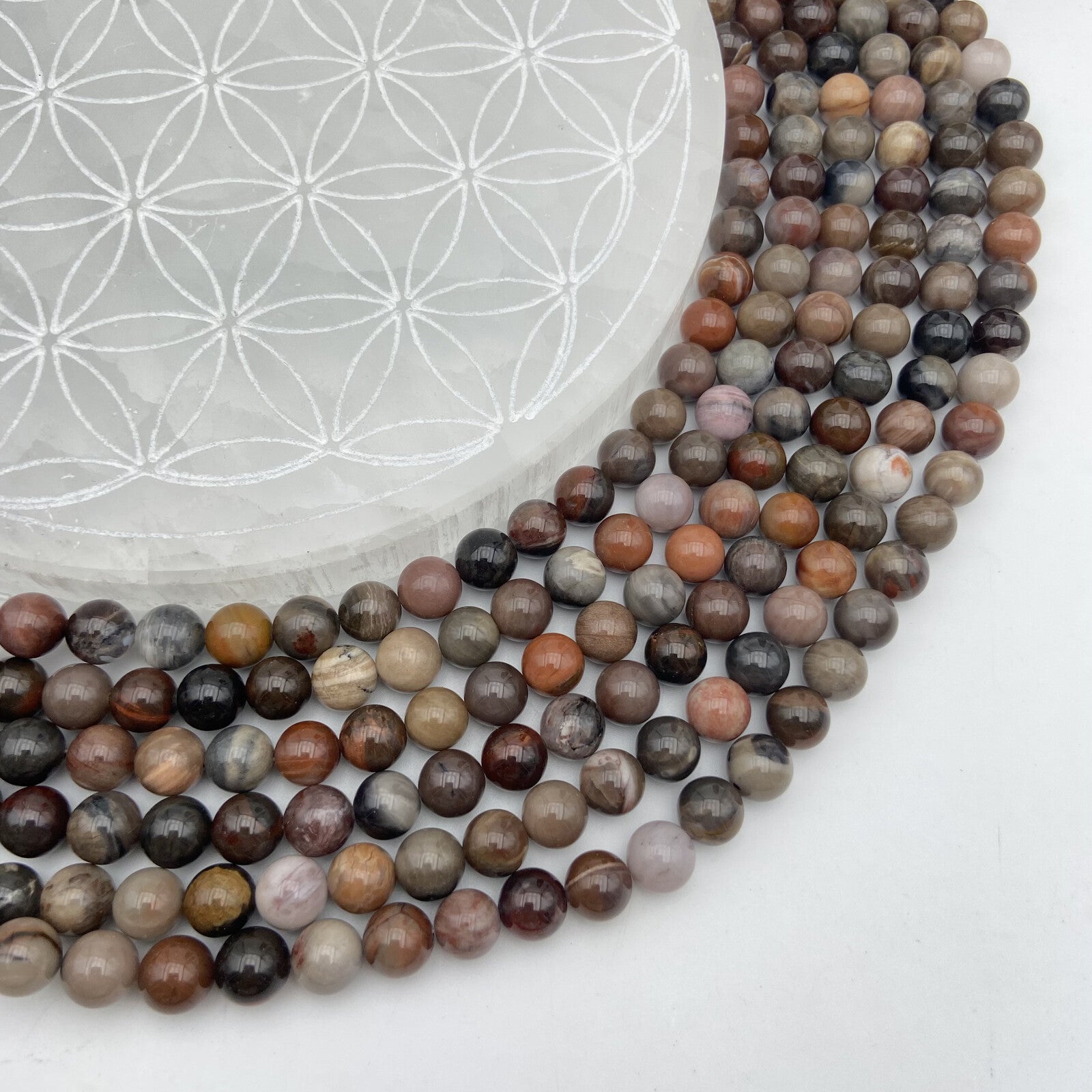 Rang - Bois Fossile (8 mm)