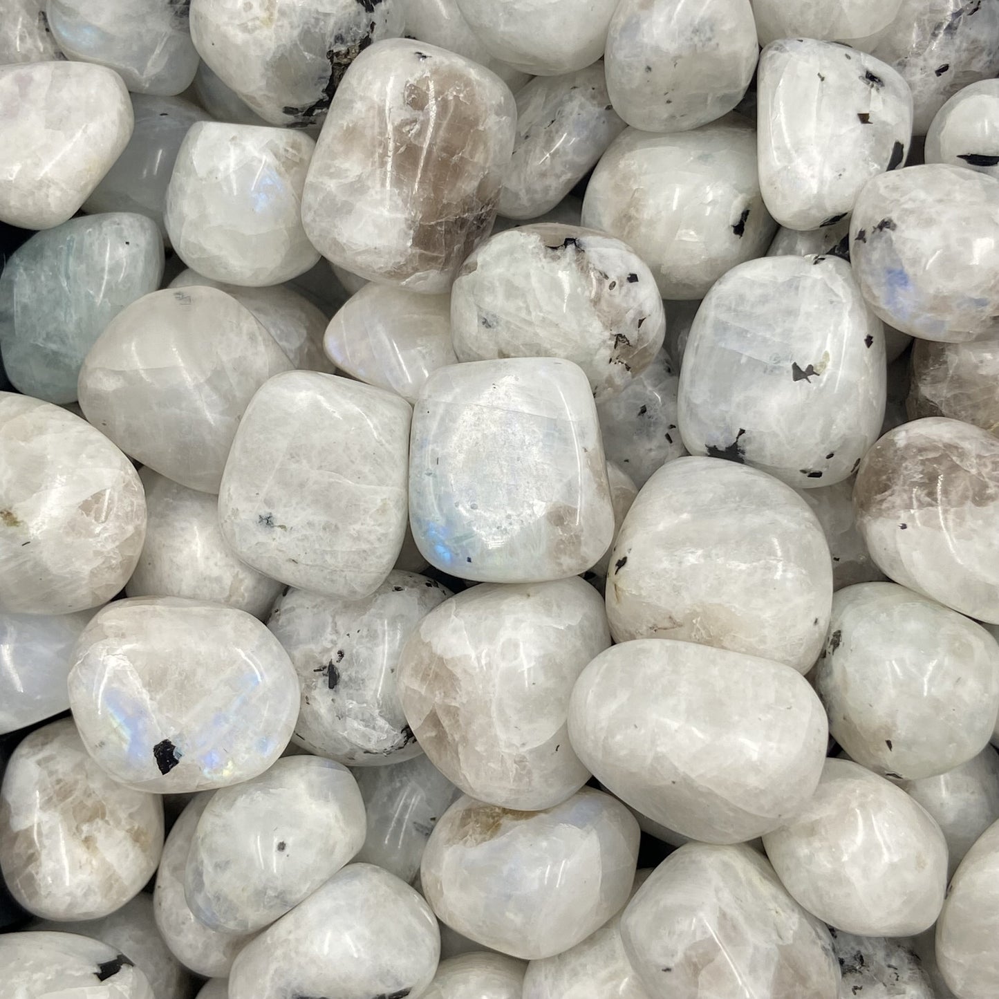 Pierres Roulées - Pierre de Lune