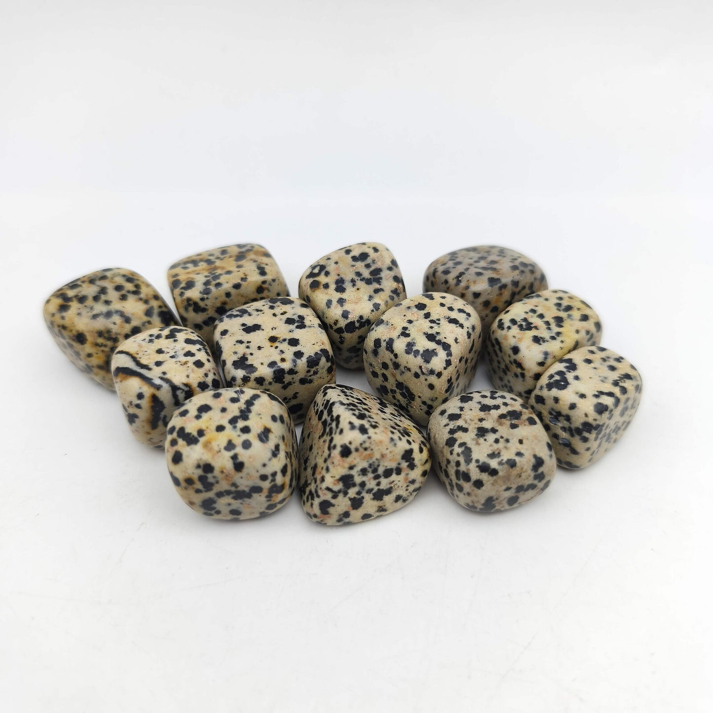 Pierres Roulées - Jaspe Dalmatien