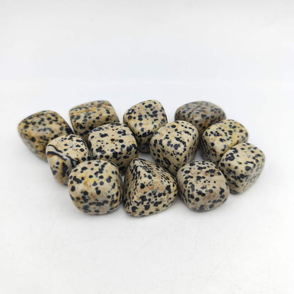 Pierres Roulées - Jaspe Dalmatien