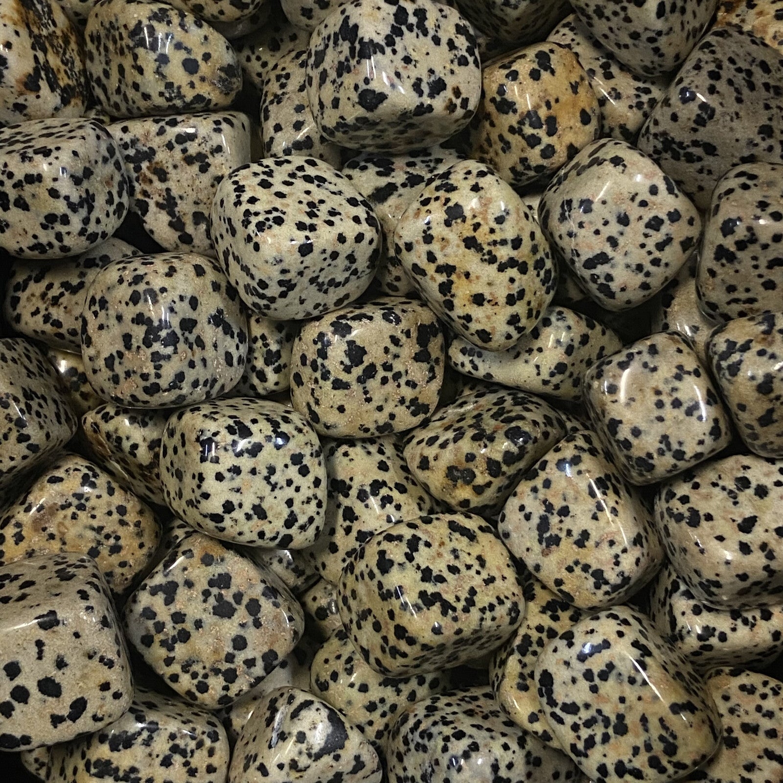 Pierres Roulées - Jaspe Dalmatien