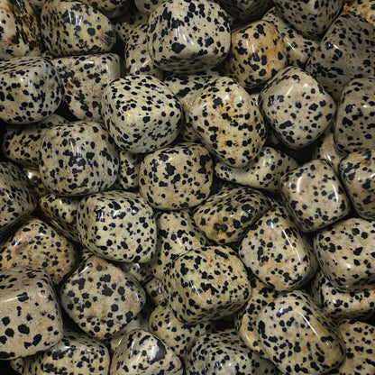 Pierres Roulées - Jaspe Dalmatien