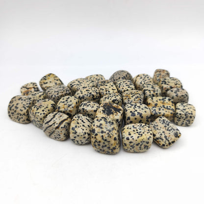 Pierres Roulées - Jaspe Dalmatien