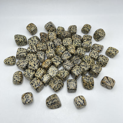 Pierres Roulées - Jaspe Dalmatien