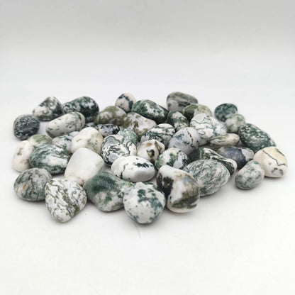 Pierres Roulées - Agate Arbre