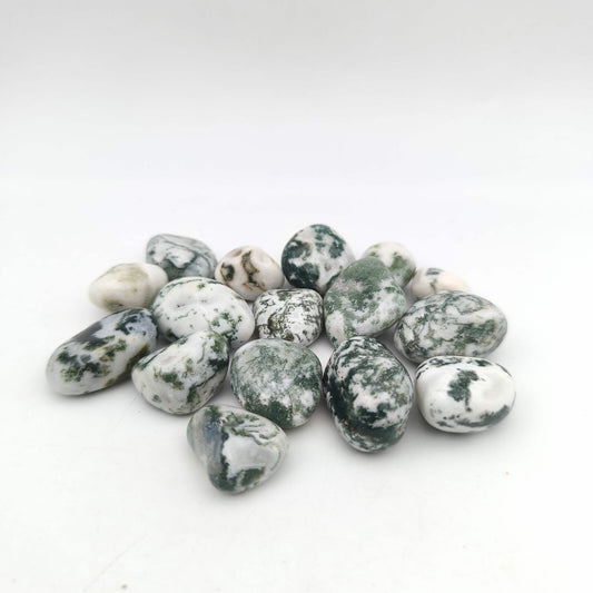 Pierres Roulées - Agate Arbre