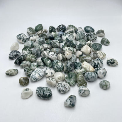 Pierres Roulées - Agate Arbre