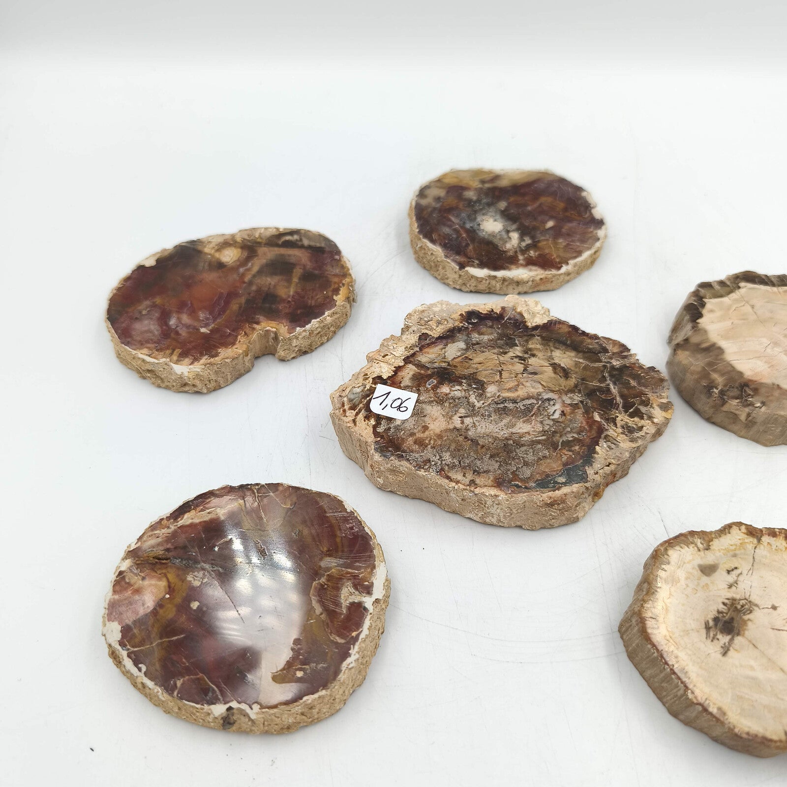 Tranche de Bois fossile - Lot de 1,06 kg