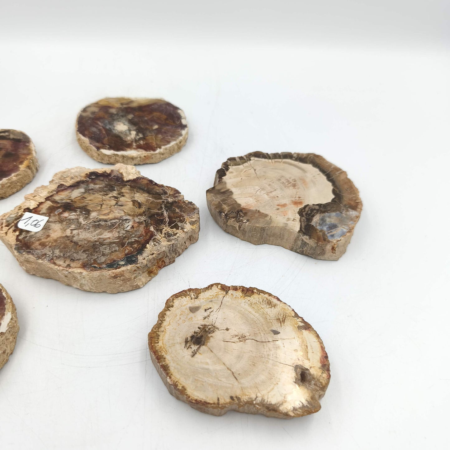 Tranche de Bois fossile - Lot de 1,06 kg