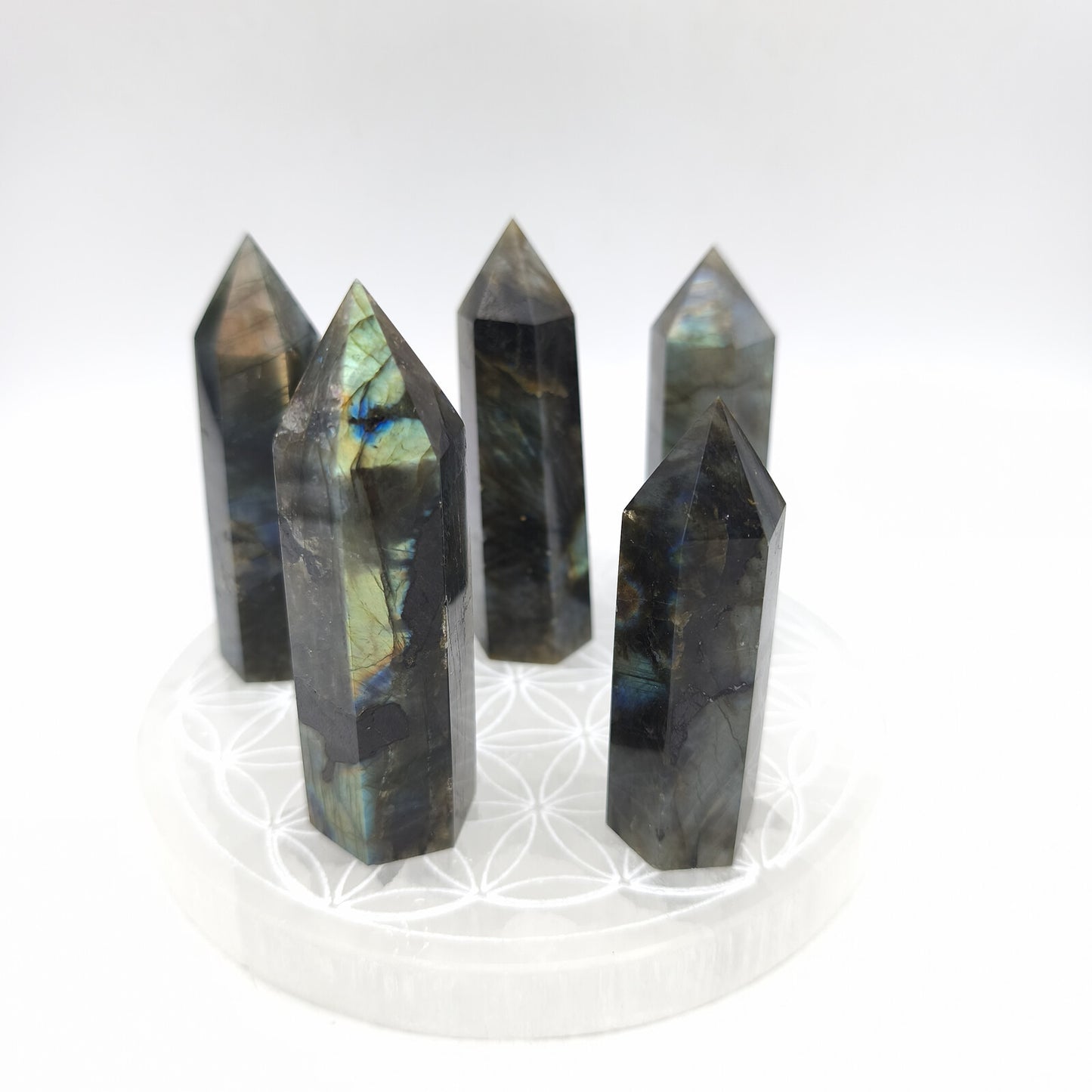 Labradorite - Lot de 5 pointes