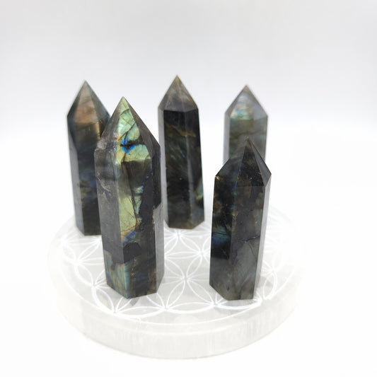 Labradorite - Lot de 5 pointes