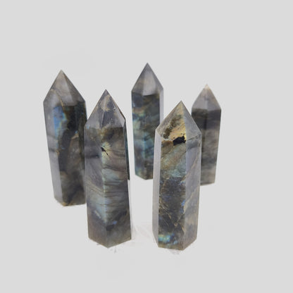 Labradorite - Lot de 5 pointes