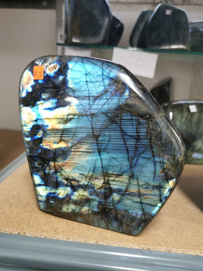 Forme Libre - Labradorite (Pièce de 1,2 kg à 1,8 kg)