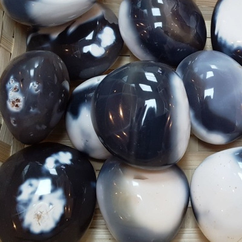 Galets - Agate Orque