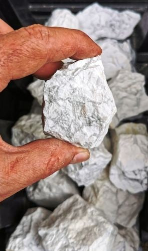 Pierres Brutes - Howlite