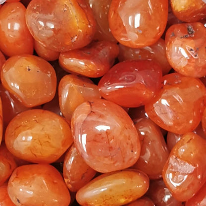 Pierres Roulées - Cornaline