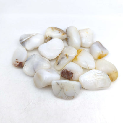 Pierres Roulées - Opale Blanche