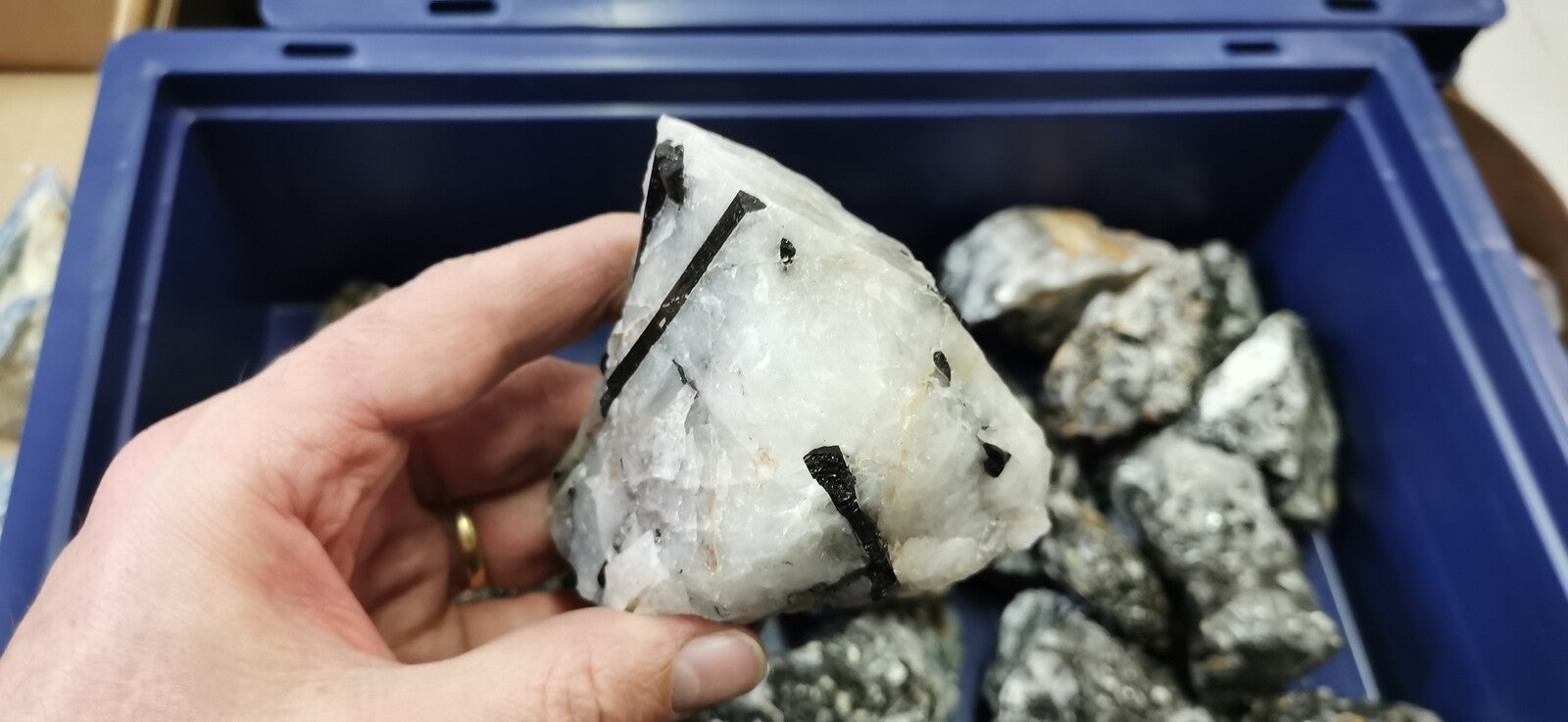 Pierres Brutes - Tourmaline Noire & Quartz