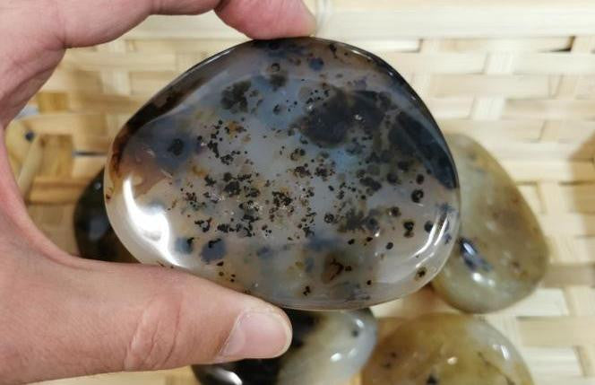 Galets - Agate Dendritique