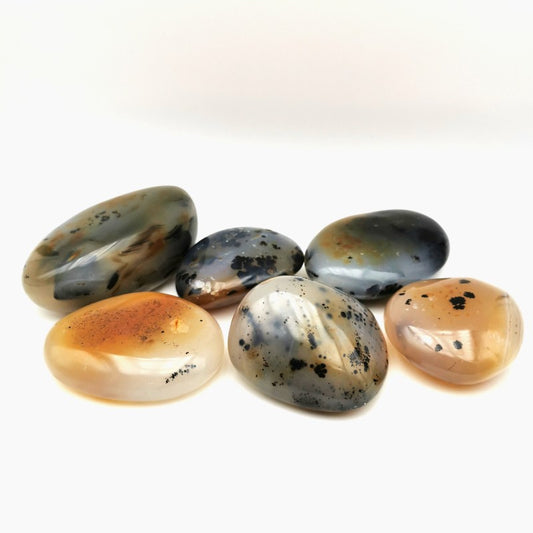 Galets - Agate Dendritique