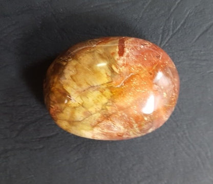 Galets - Bois Fossile