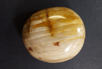 Galets - Bois Fossile