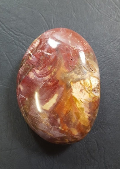 Galets - Bois Fossile