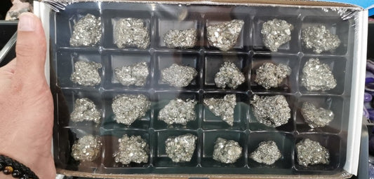 Flat/carton 24 pièces - Pyrite