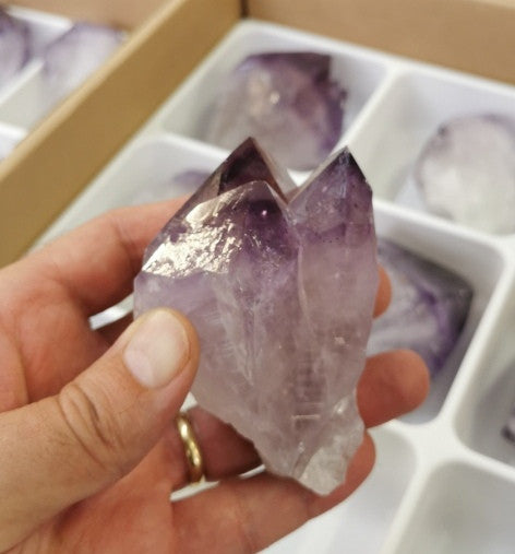 Pointe améthyste brute Brésil