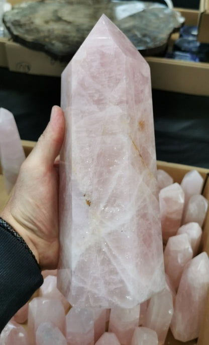 Pointe Quartz rose