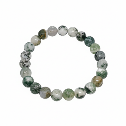 Bracelet en perles - Agate Arbre (8 mm)