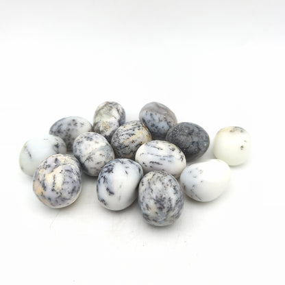 Pierres Roulées - Agate dendritique / Merlinite