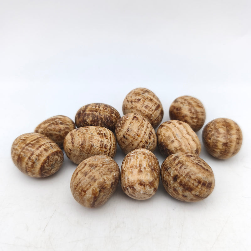 Piedras Rodadas - Aragonita (200 g)