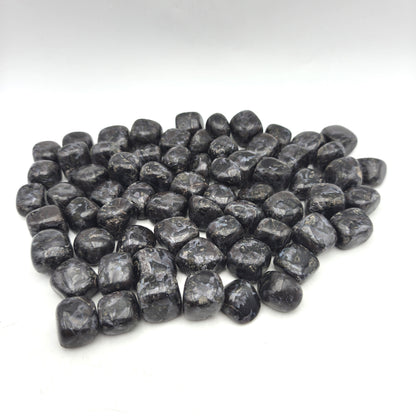 Pierres Roulées - Gabbro (200 g)