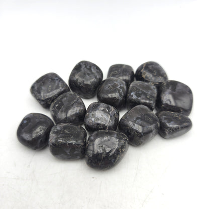 Pierres Roulées - Gabbro (200 g)