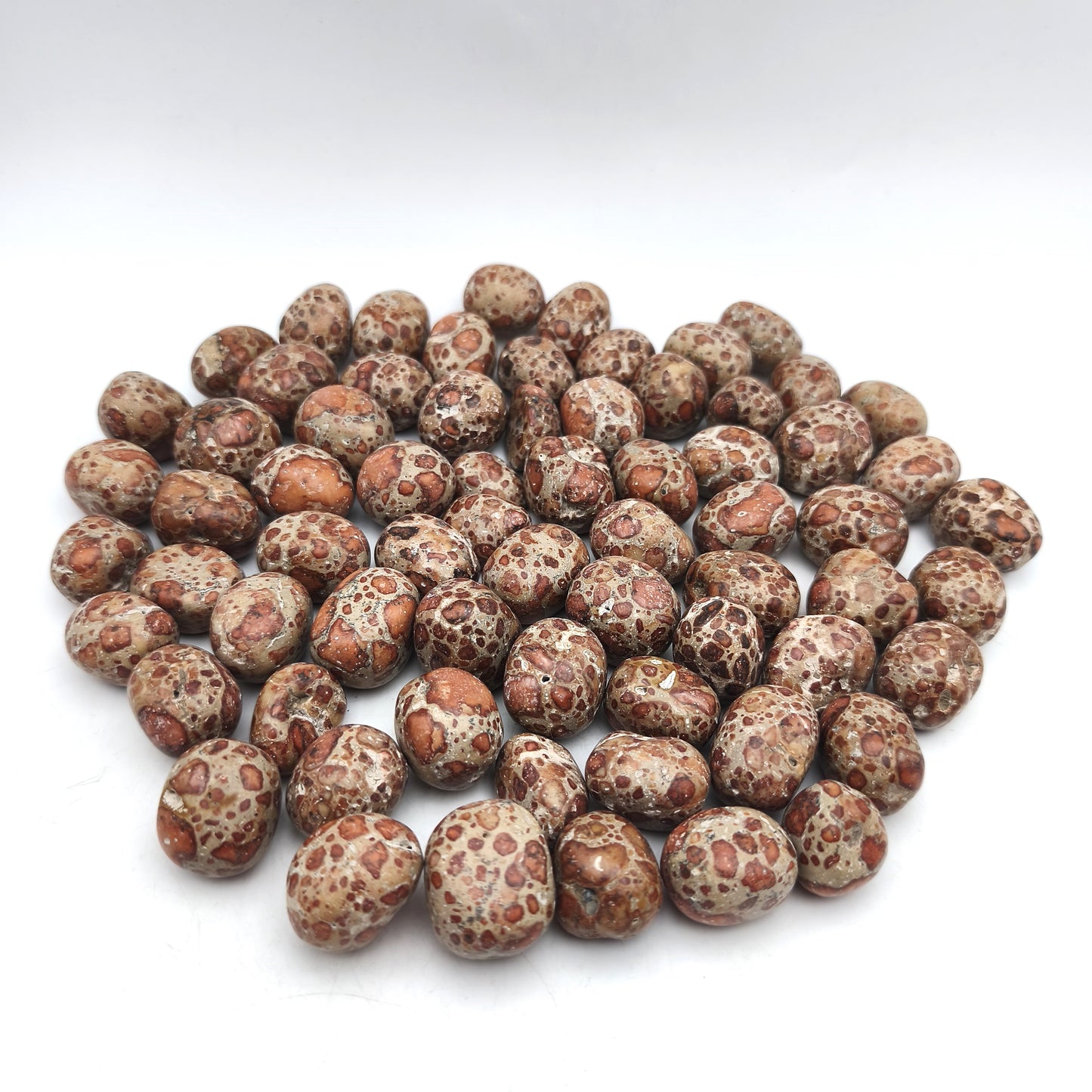 Pierres Roulées - Jaspe Léopard (200 g)