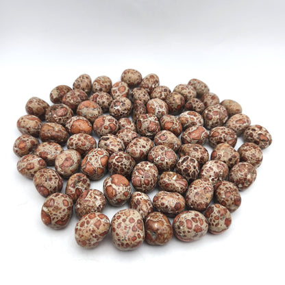 Pierres Roulées - Jaspe Léopard (200 g)