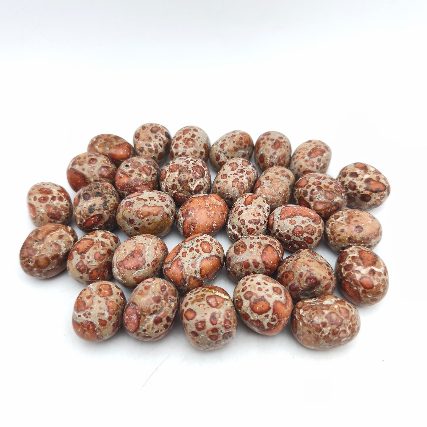 Pierres Roulées - Jaspe Léopard (200 g)