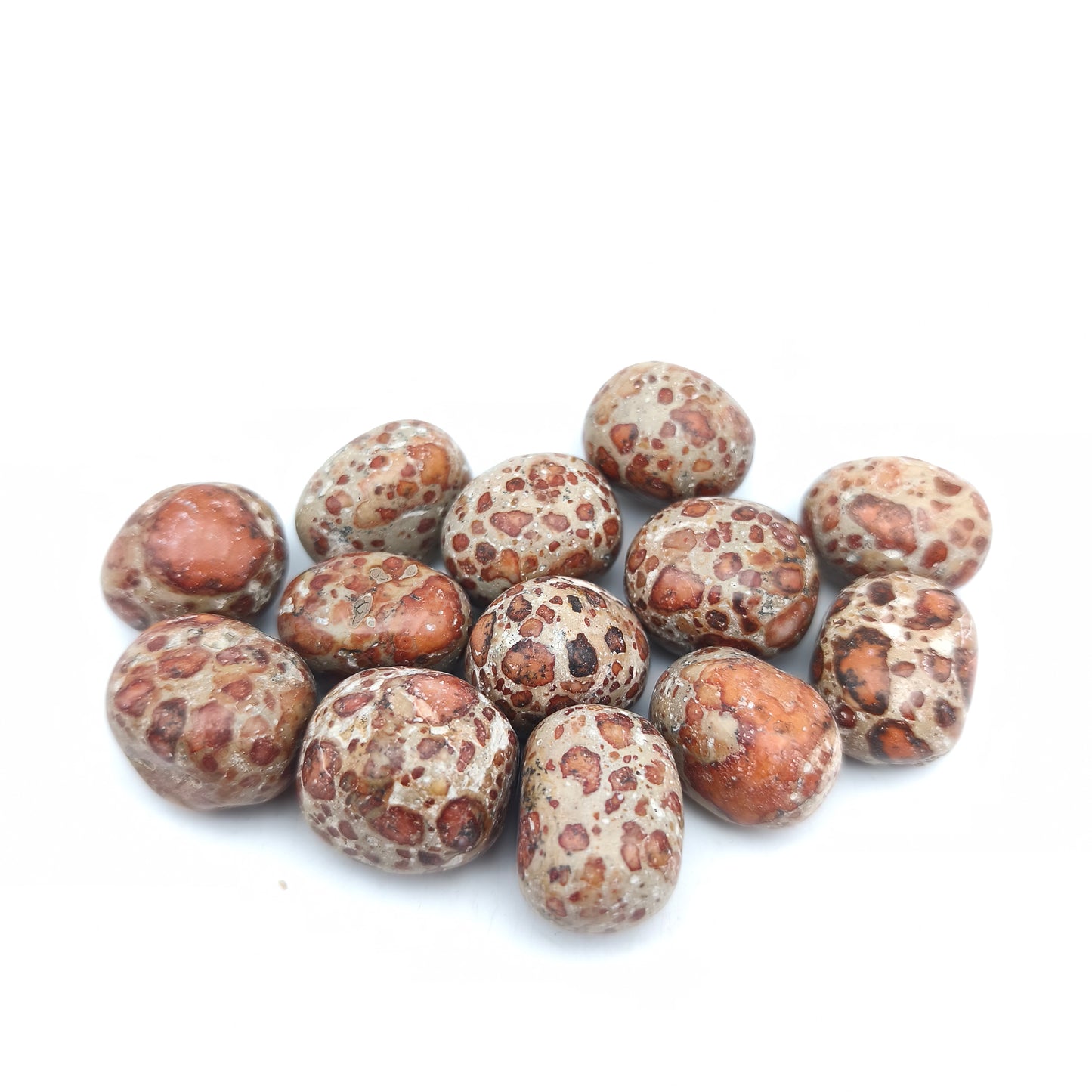 Pierres Roulées - Jaspe Léopard (200 g)