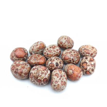 Pierres Roulées - Jaspe Léopard (200 g)