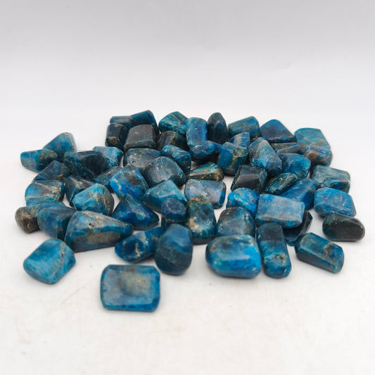 Pierres Roulées - Apatite bleue - (200 g) - Taille #03 - 1-2 cm
