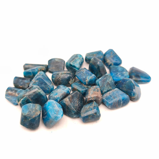 Pierres Roulées - Apatite bleue - (200 g) - Taille #03 - 1-2 cm