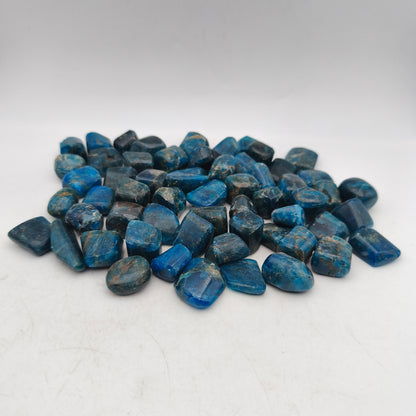 Pierres Roulées - Apatite bleue - (200 g) - Taille #04 - 2/3 cm