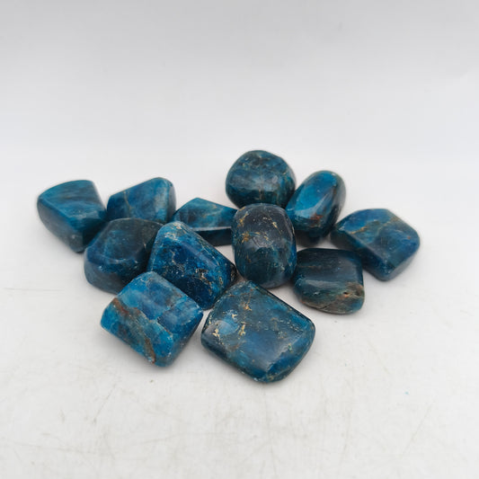 Pierres Roulées - Apatite bleue - (200 g) - Taille #04 - 2/3 cm