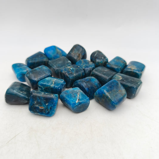 Pierres Roulées - Apatite bleue - (200 g) - Taille #05 - 3/4 cm