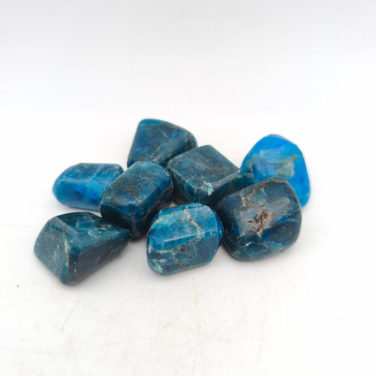 Pierres Roulées - Apatite bleue - (200 g) - Taille #05 - 3/4 cm