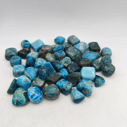 Pierres Roulées - Apatite bleue - (200 g) - Taille #05 - 2/4 cm - Qual. B